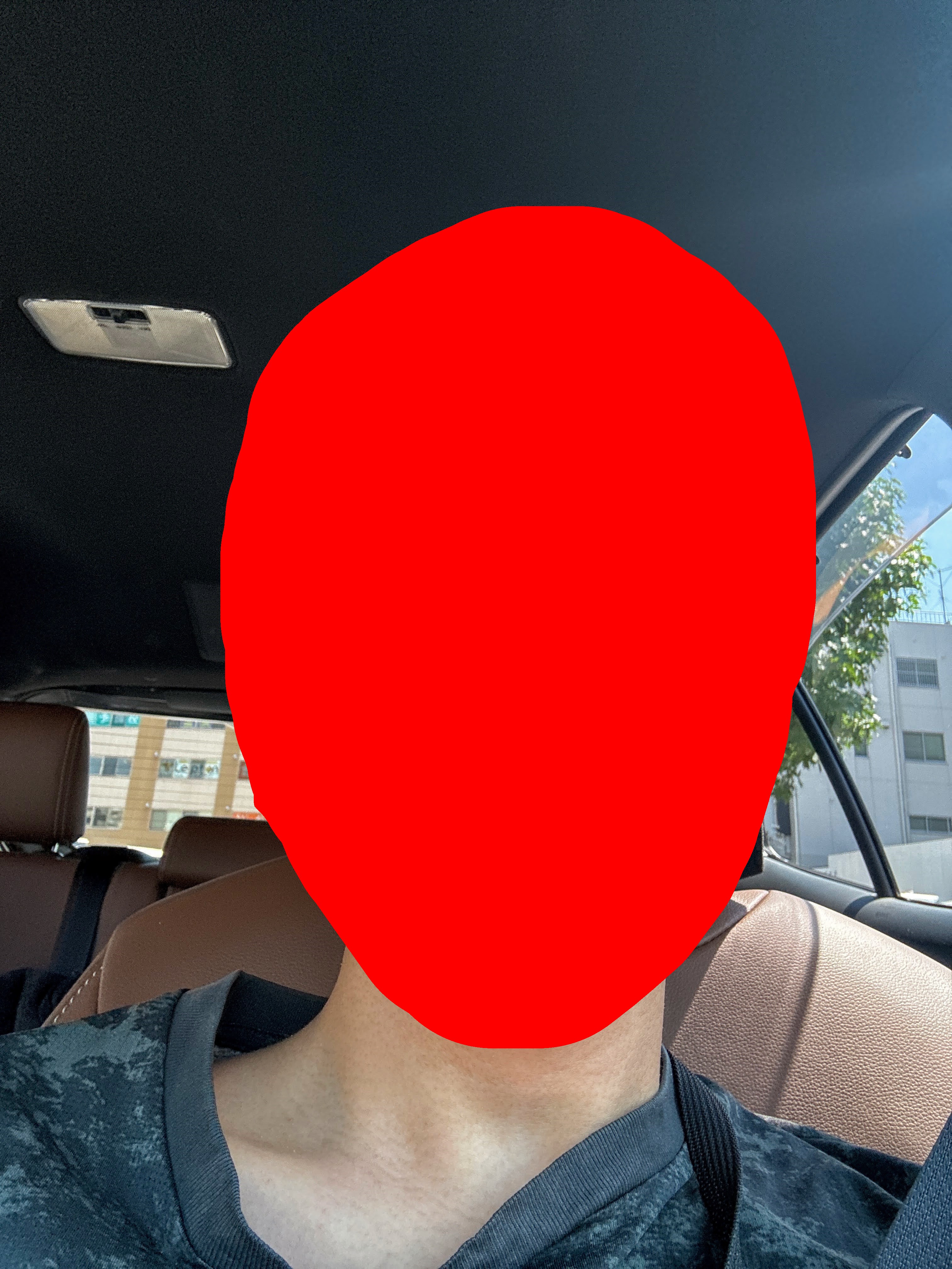 ゲーマンの写真